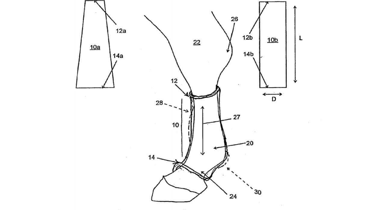 Horse-patent.jpg