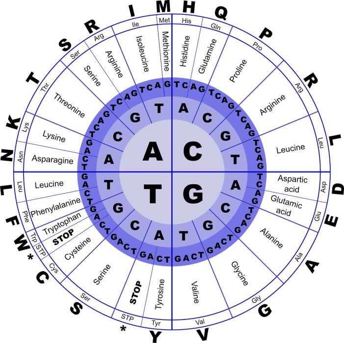 dna-152135_1280.jpg