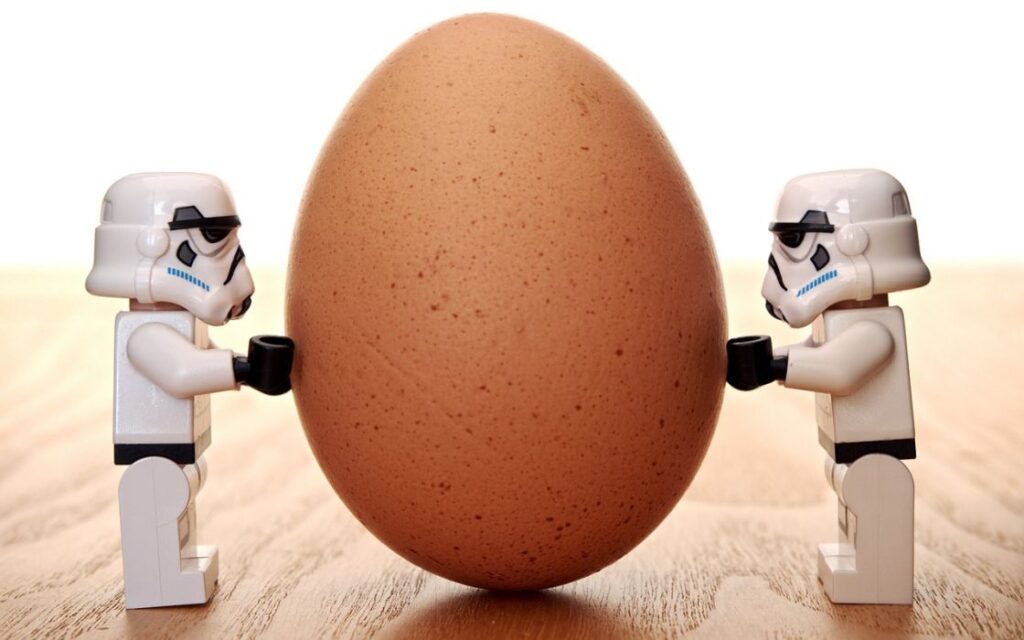 Egg Lego