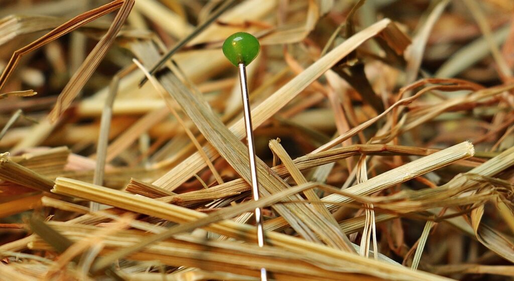 Needle Haystack