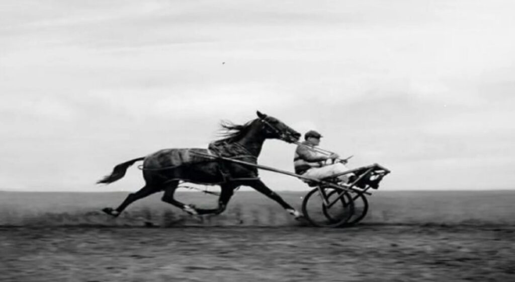 Cart before horse